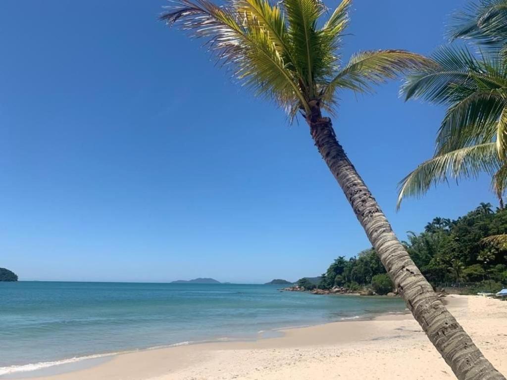 Apartamento Apto C/ Sacada A 5 Min Da Praia Em Canajure Cro206 Florianópolis